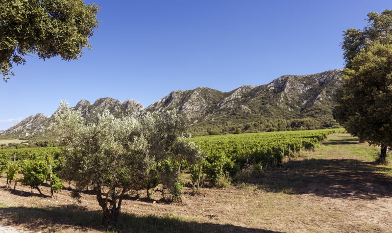 Superbes falaises du Gros Calan et Alpilles sauvages - Eygalières
