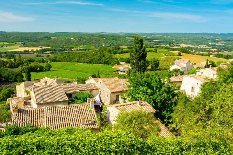 Sentier vignerons de Rognes et charmante balade champêtre - Rognes, Salon de Provence