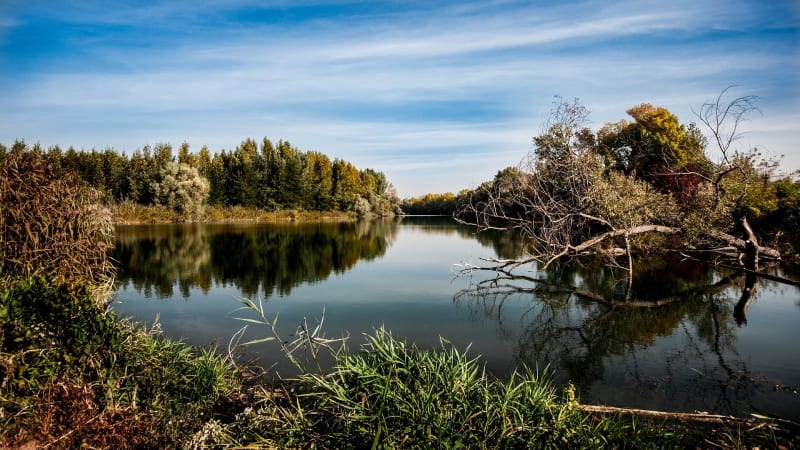 Grépiac entre berges de l'Ariège et coteaux - Grépiac