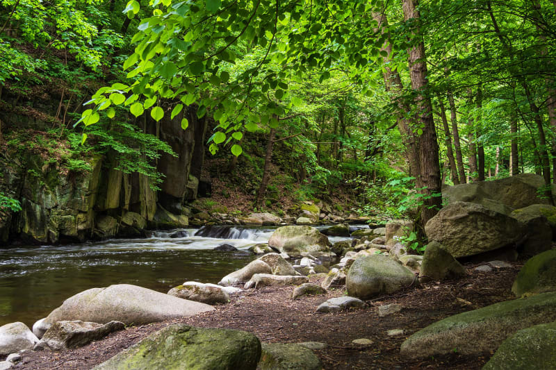Boucle du bois de Neuville depuis Avril-sur-Loire - Avril-sur-Loire