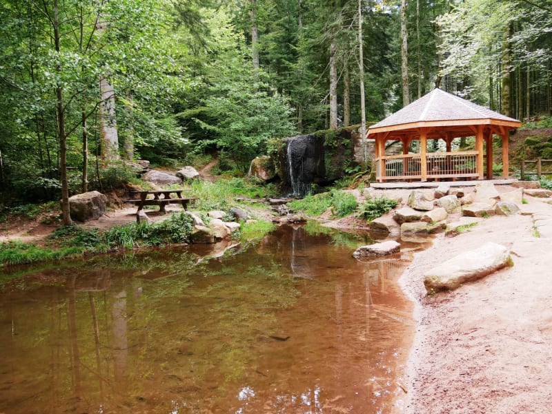 Les Roches d'Ormont et la cascade des Molières - Pépinière du Paradis, Saint-Dié-des-Vosges