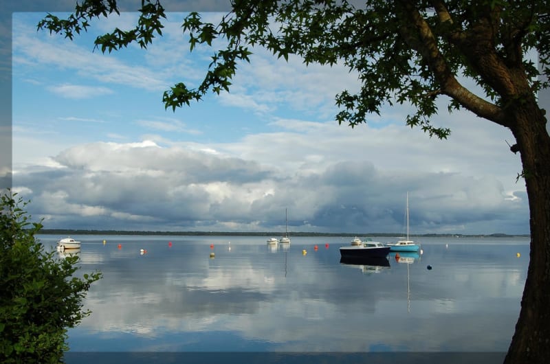 Balade forestière à Lacanau et nager dans le lac - Le Moutchic