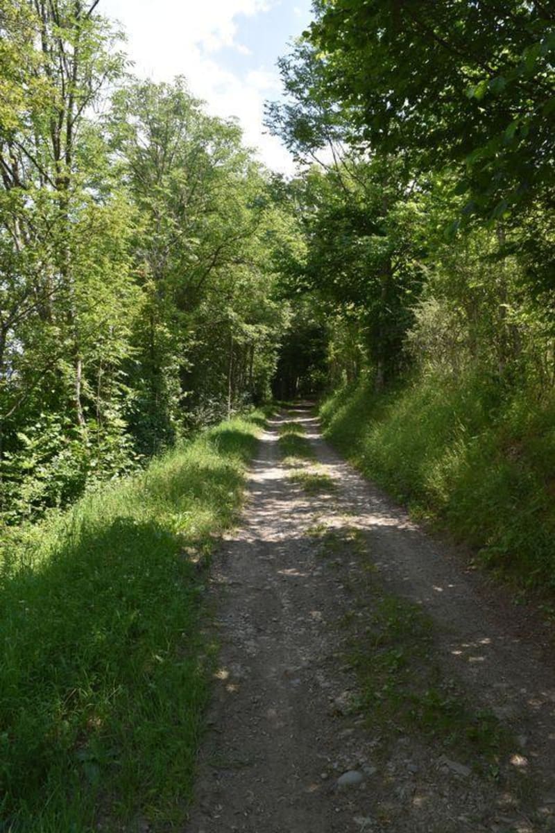 Col de la Festinière et sa ligne du Peychagnard - Aveillans