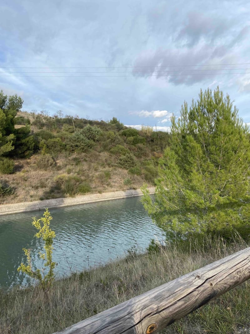 Petite Camargue authentique et vin de sable - Gallician