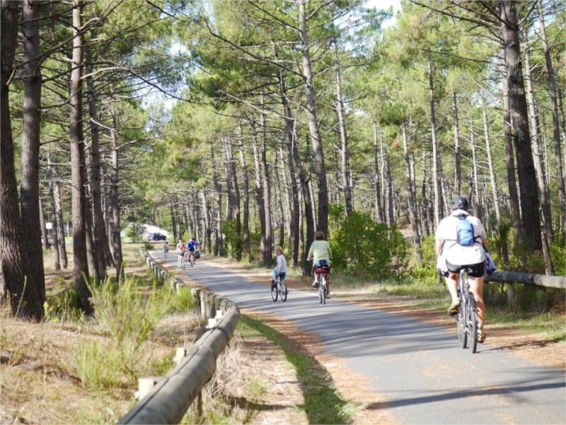 Balade autour de Lacanau et tranquillité des forêts landaises - Lacanau