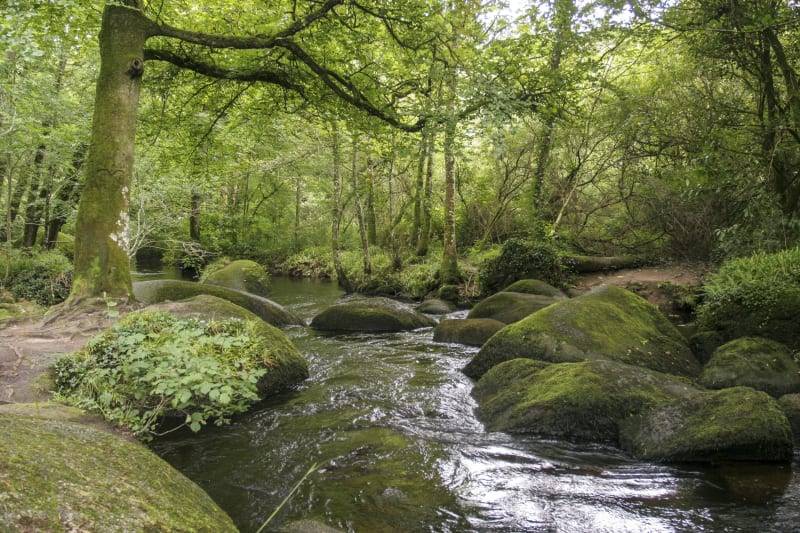 Au fil de l'histoire dans la vallée du Lunain - Paley