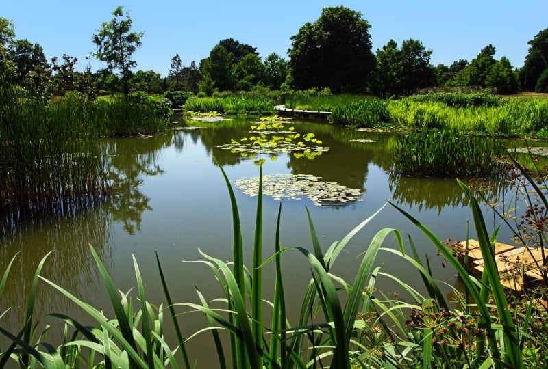 Ecuelles, entre Loing et Orvanne et biodiversité d'exception - Ecuelles