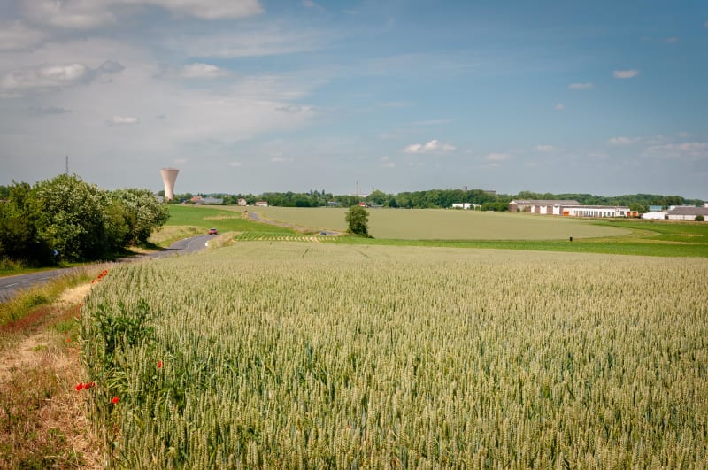 Salins et virée champêtre qui ne manque pas de sel - Salins