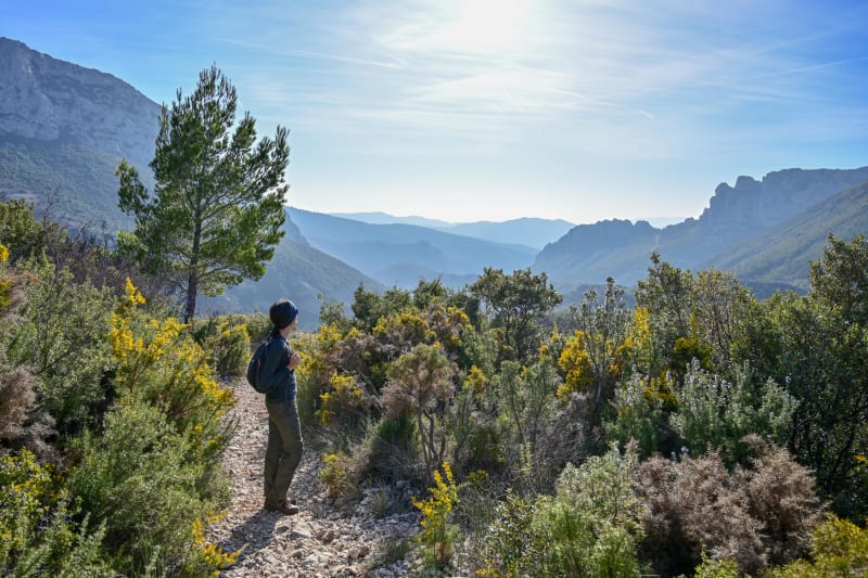 Vue des hauteurs du Caramy et immersion en nature sauvage - Brignoles