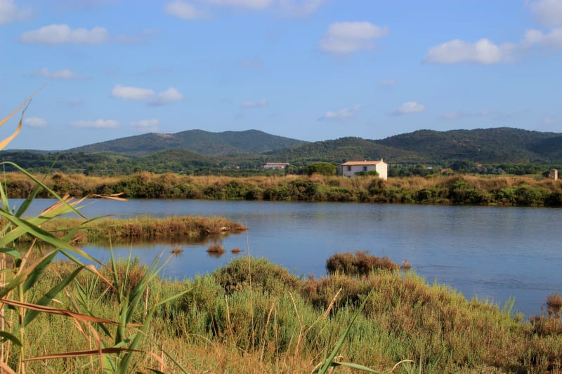 Incontournable salins de Hyères et rencontres sauvages précieuses - Hyères