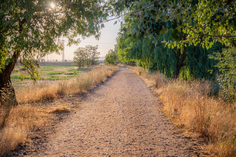 Promenade de Péreuse et douceur de vivre - Jouarre