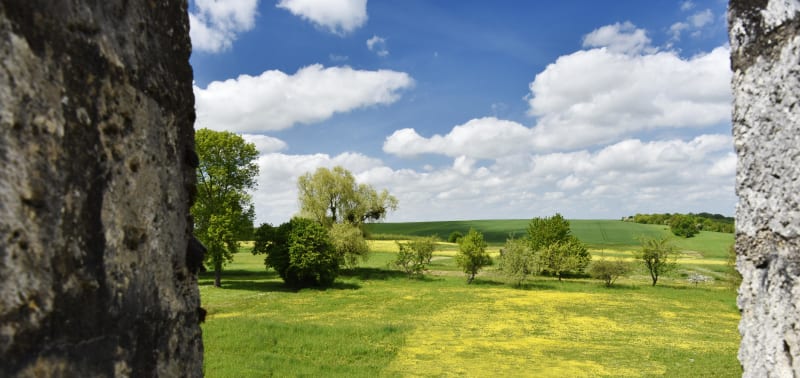 S'évader à Longueville et voir des trésors à Saint-Loup-de-Naud - Longueville