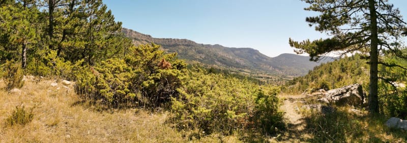 Randonnée de Saint-Jurs et paysages lumineux de Provence - Saint-Jurs