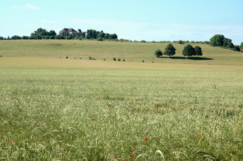 Rejoignons la colline à pas de Lourps - Savins