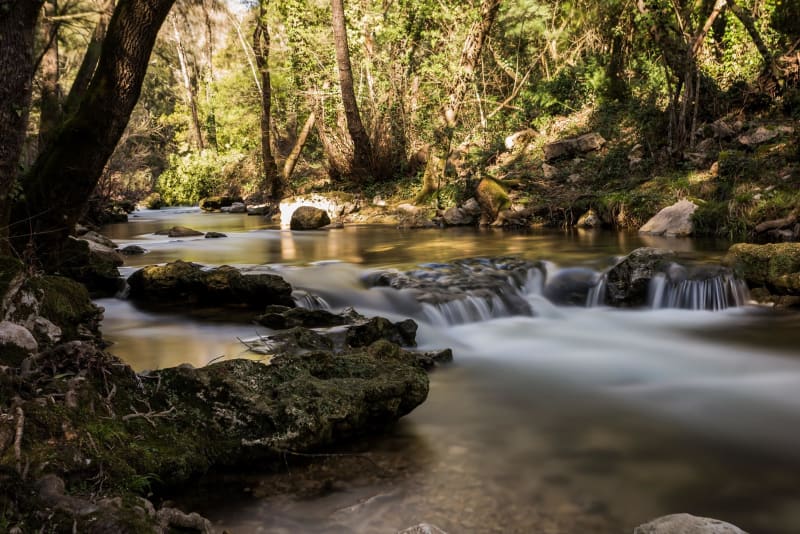 Vallée de la Brague et rivière sans détour - Biot