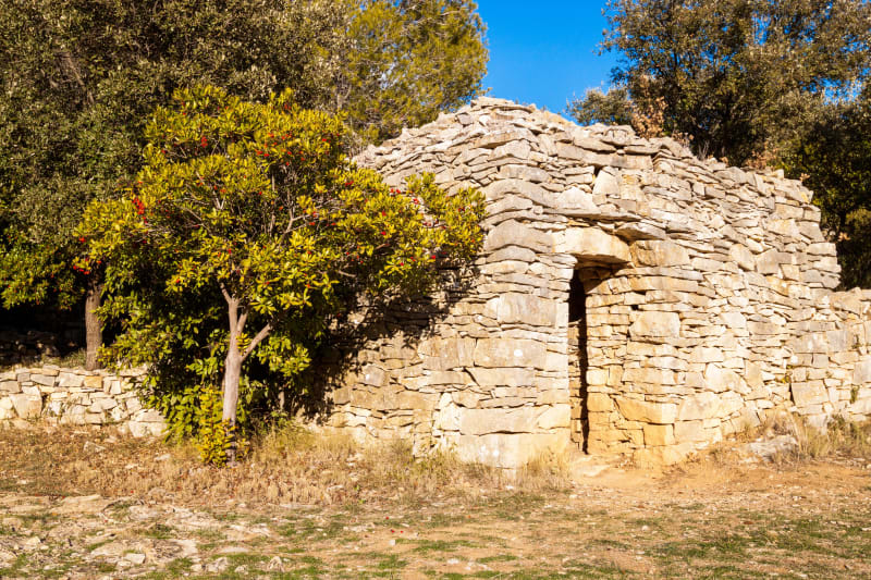 Faïsses de Courniou et balade au milieu des capitelles - Courniou
