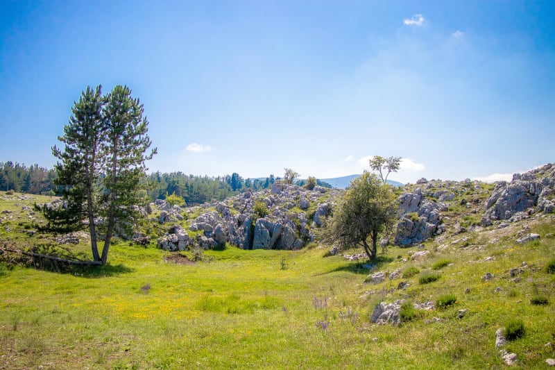 Boucle de Castillon et immersion au cœur de la garrigue - Castillon