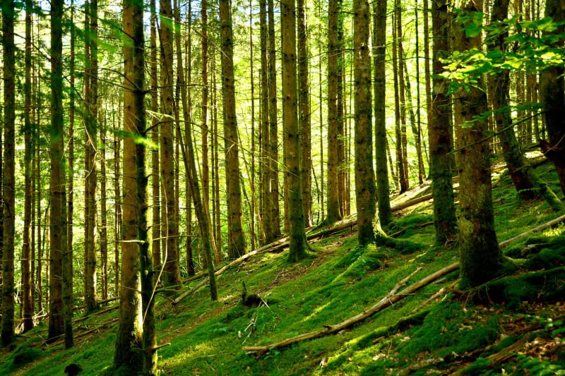 Vallée des poètes d'Aurillac et traversée des villages ruraux - Vercuères