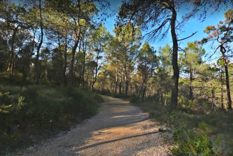Parc de la Valmasque et lotus - Mougins