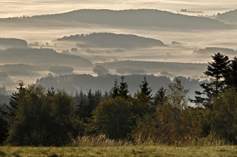 Chemin de Maraude à Bibracte et son site archéologique - Bibracte