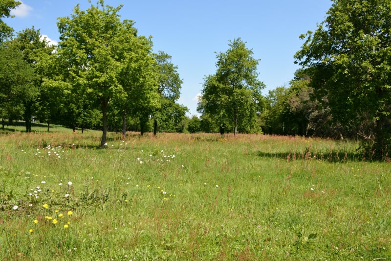 Saint-Herblain et parenthèse " mésangélique " - Saint-Herblain
