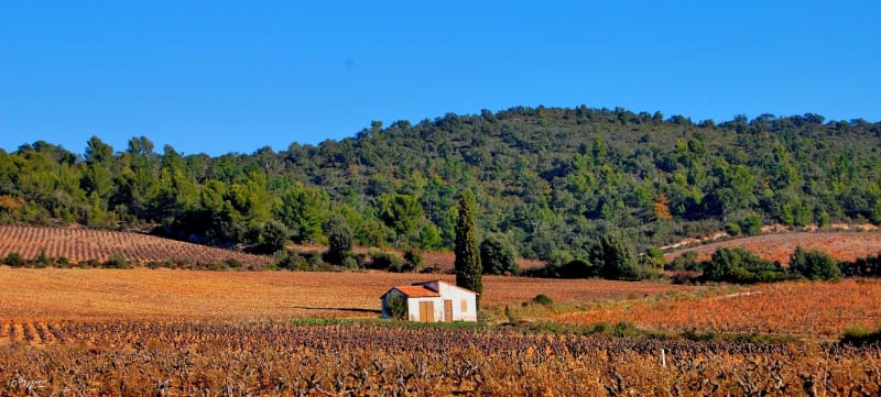 Toudon et papillonner au cœur du moyen pays - Toudon