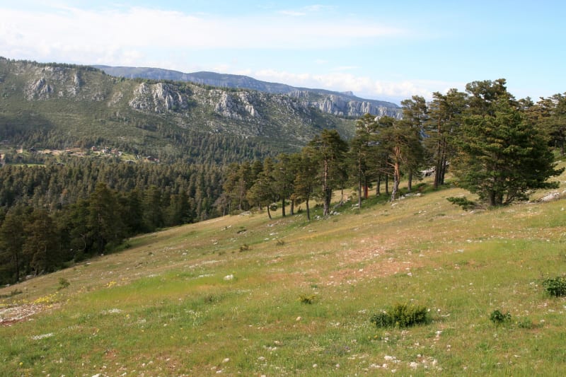 Evasion sur la crête de l'Audibergue et paysages inspirants - Caille