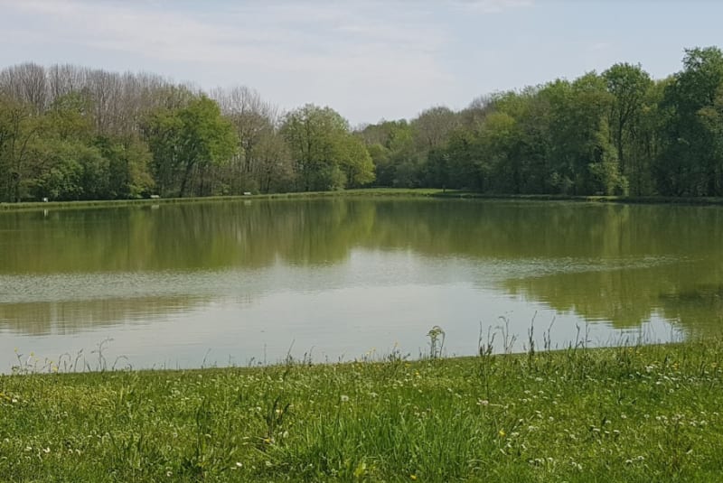 Découvrir la Toscane nantaise et les moulins de Monnières - Monnières