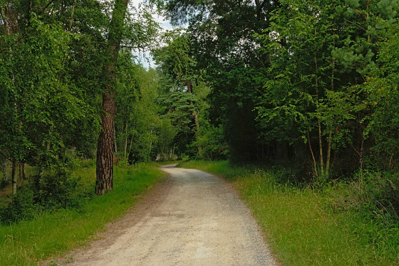 Circuit du Mont Hubert et des pierres sacrées - Larbroye