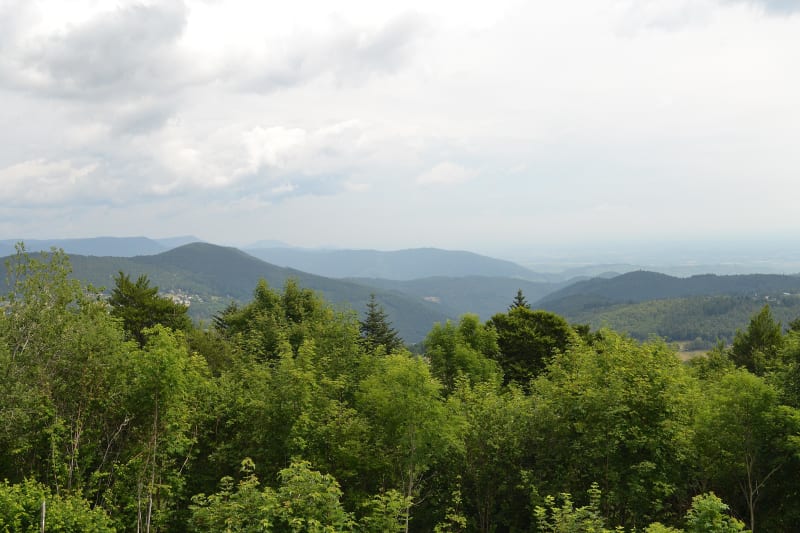 Montée au Petit Hohnack et charme des Vosges - Labaroche