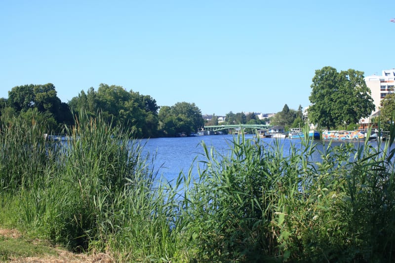 Saint-Lumine-de-Coutais et virée en été au lac de Grand-Lieu - Saint-Lumine-de-Coutais