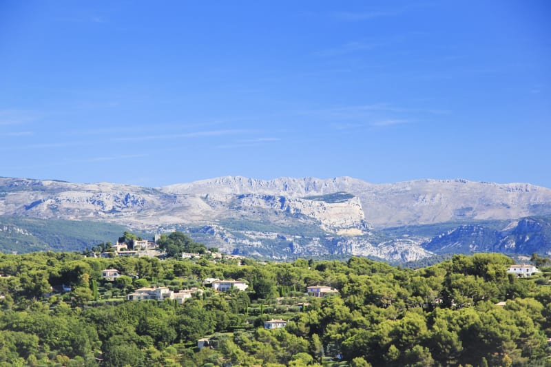 Siffloter dans le parc de la Valmasque et devinettes ornitho - Sophia-Antipolis