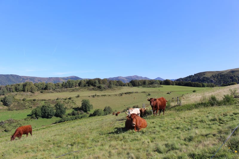 Escapade en vallée de Jordanne et douceur champêtre - Velzic