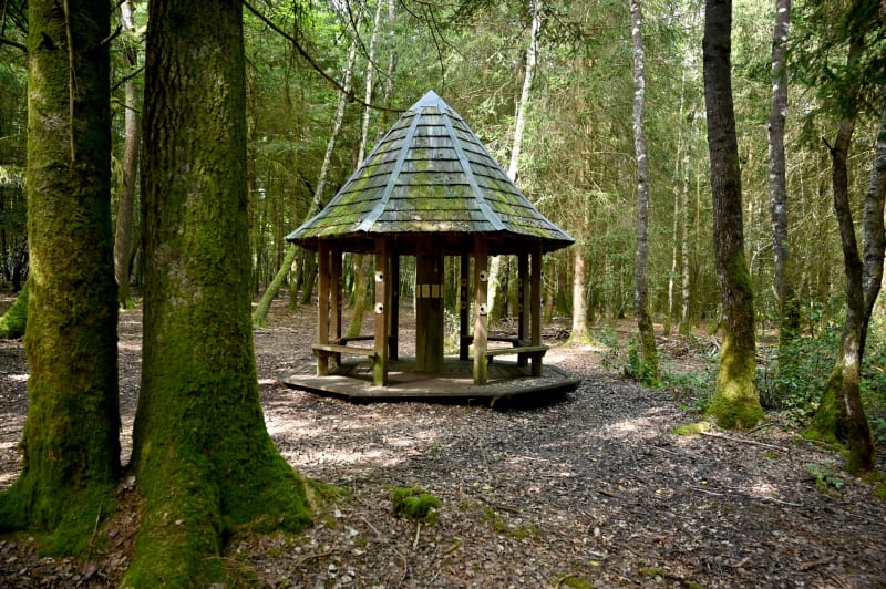 Arpenter la Forêt de Branviel et son sentier poétique - Ytrac