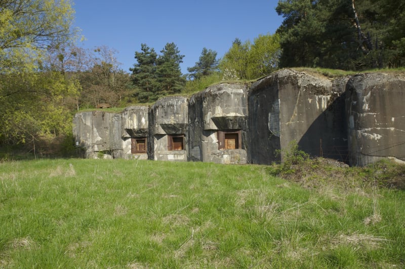 Sentier forestier de Drachenbronn et ligne Maginot - Drachenbronn