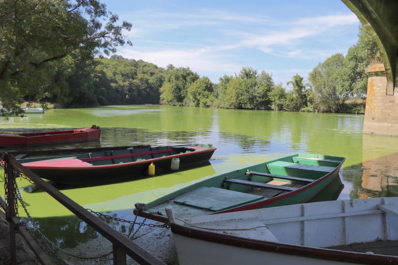 Bords de Sèvre nantaise et douceur à la française - Boussay