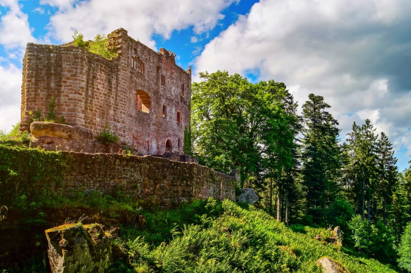 Sentier Valentine par le château du Birkenfels et le GR® 5 - Grossmatt, Saint-Nabord