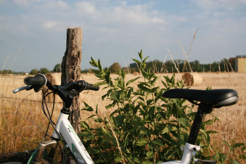 A VTT dans les alentours du Chatenet - Saint-Denis-des-Murs
