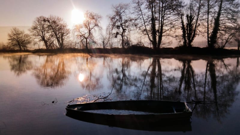 Univers aquatique le long du canal de la Somme - La Chaussée-Tirancourt