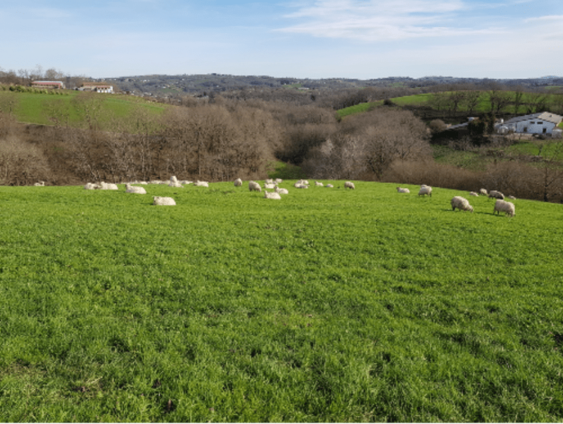 Bain de nature et jolies vues à Saint-Pée-sur-Nivelle - Olha, Saint-Pée-sur-Nivelle