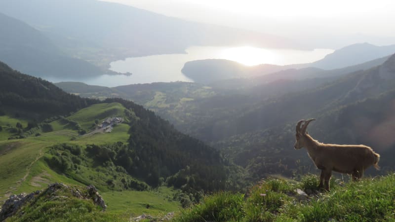 Aventure à la Tournette et conquête d'un sommet mythique d'Annecy - Talloires-Montmin