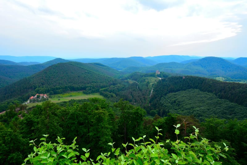 Meisenthal et riche excursion en forêt - Meisenthal