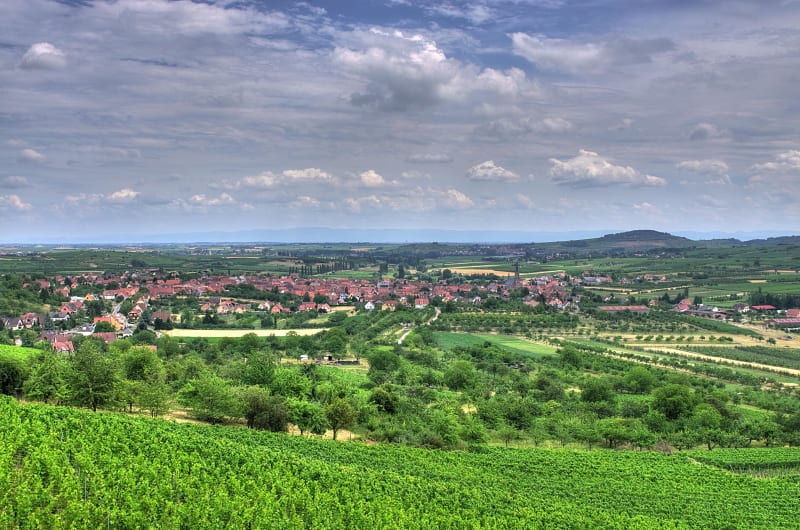 Westhoffen et immersion délicieuse dans les vignobles - Westhoffen
