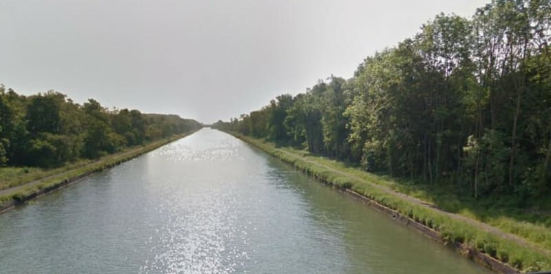 Marais de Brunémont et observation de la faune - Brunemont