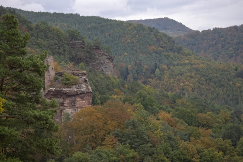 Untermuhlthal et micro-aventure fascinante dans la forêt - Untermuhlthal