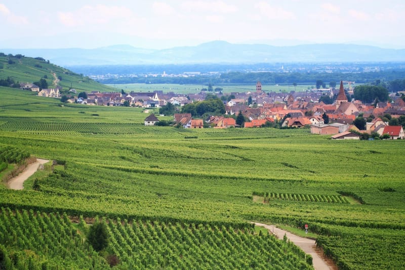 Agréable boucle à Moussey et vue sur les coteaux d’Alsace - Moussey