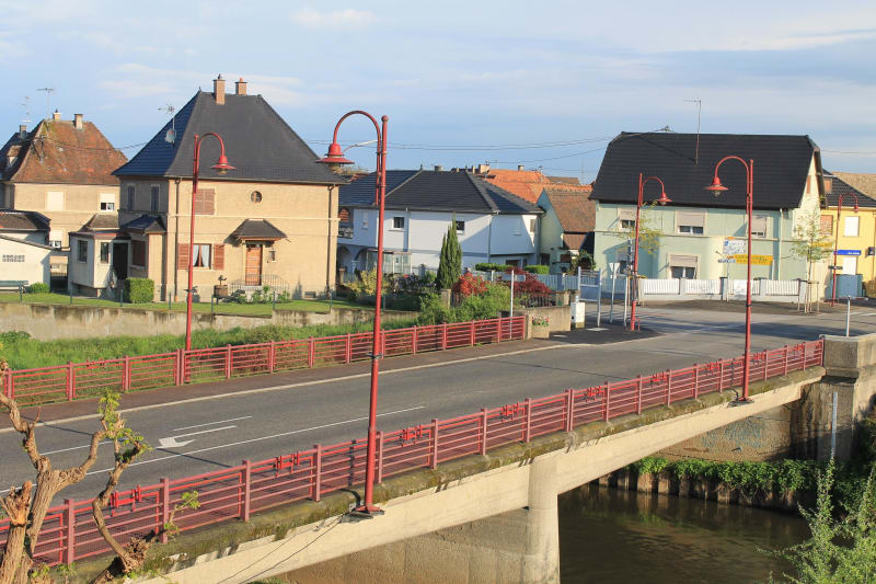 Drusenheim et itinéraire bucolique le long du Rhin - Drusenheim