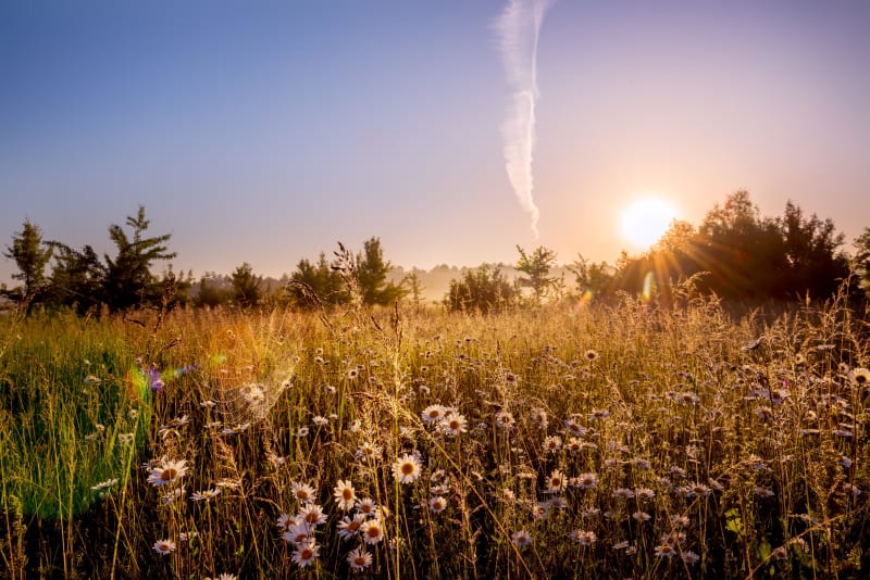 Het achterland van Duinkerke en de sprankelende natuur - Cassel
