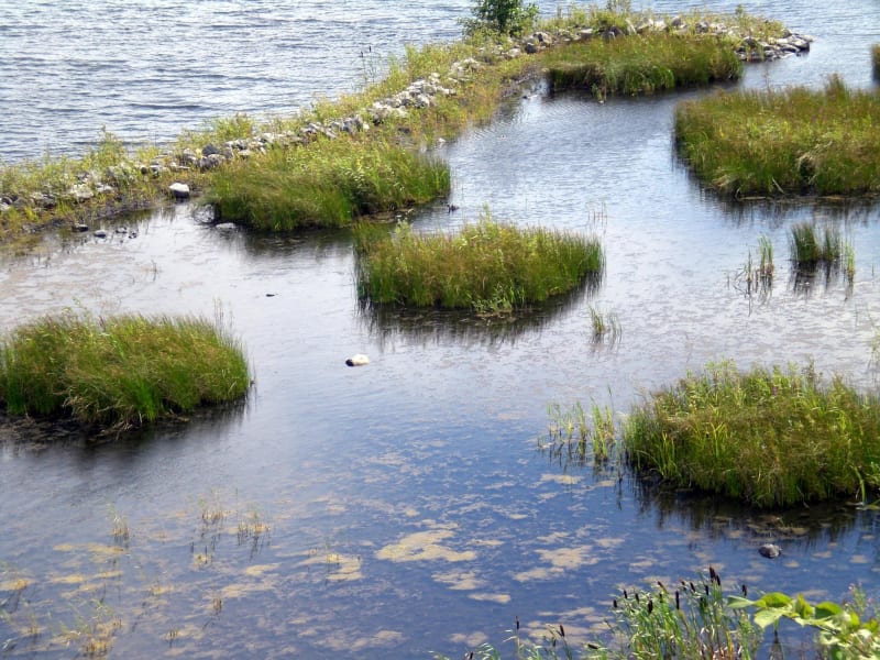 Rieulay, entre étang et tourbière et espaces protégés - Rieulay