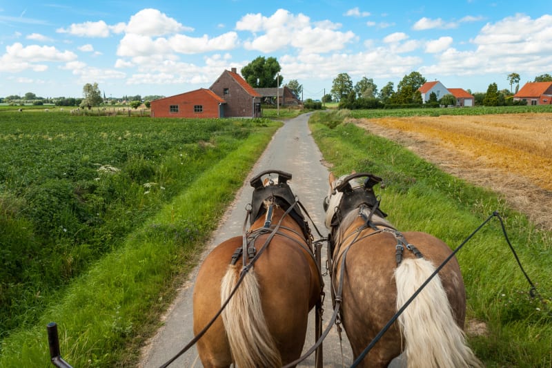 Mottes féodales et campagne flamande apaisée - OUDEZEELE